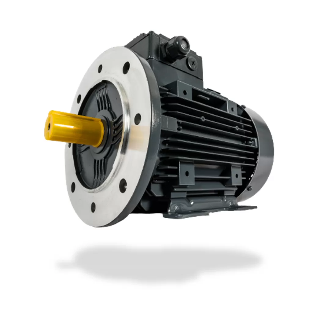 MOTORE TRIFASE ELK CON ROTORE A OMBRA